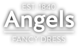 Angels Fancy Dress